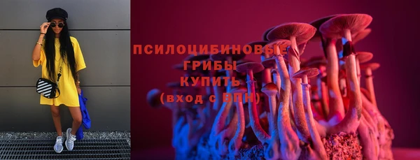 меф Мегион