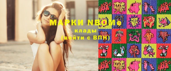 шишки Аша